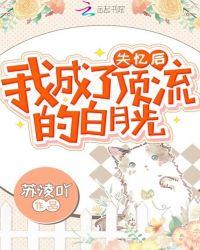 失忆后我成了顶流的白月光