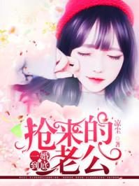 一婚到底:抢来的老公