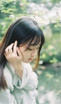 白木岚陆昊风第一章罗马假日