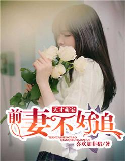天才萌宝:前妻不好追