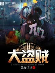 网游之大盗贼(大盗贼)