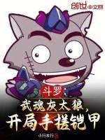 斗罗:武魂灰太狼,开局手搓铠甲