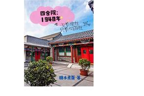四合院:1948年没有傻柱只有